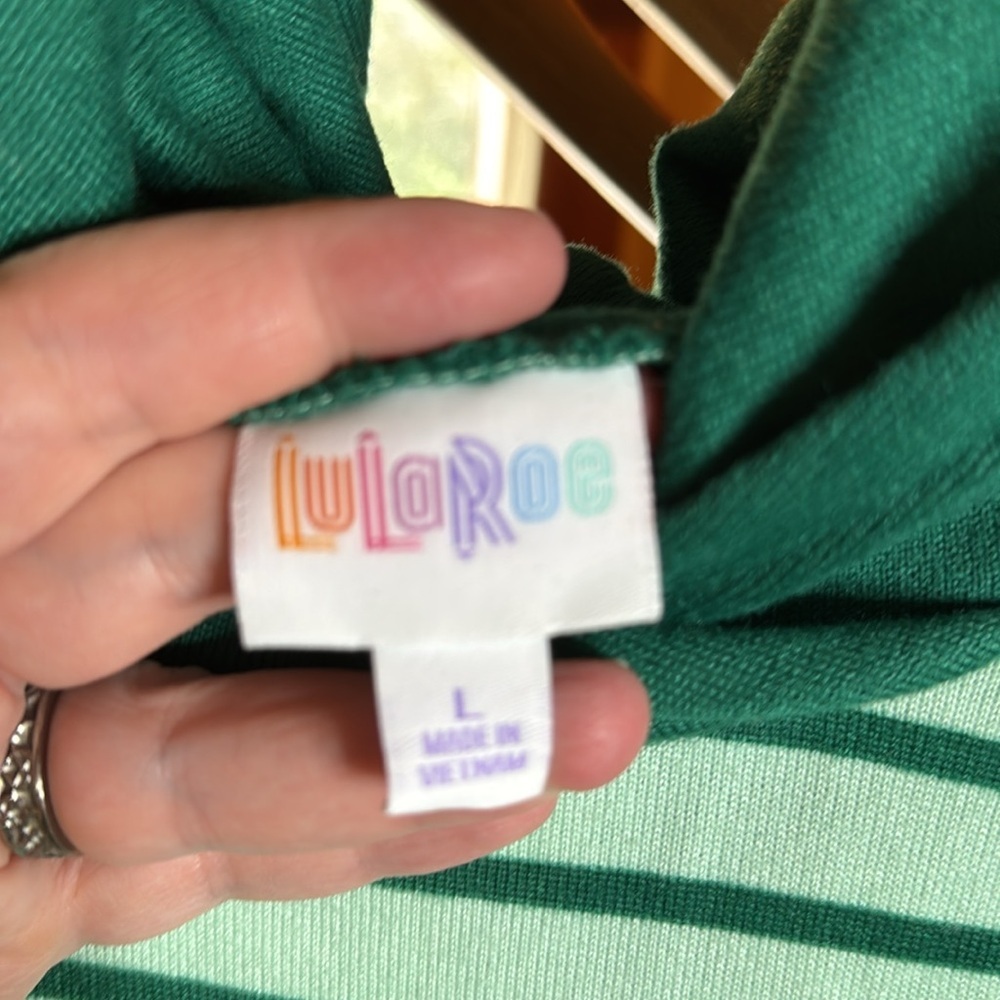 NWT LuLaRoe Amber Lightweight Green Striped Hoodie Hacci Size Large - Picture 4 of 9
